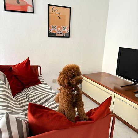 Apartmán Casa Dell'Opera Pesaro Exteriér fotografie